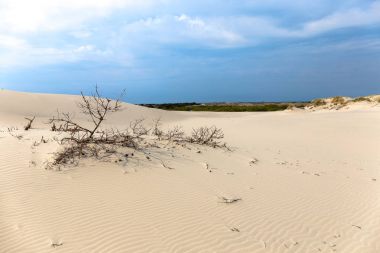 Skagen yakınındaki Rabjerg mil