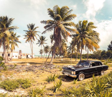 Oldtimer Cayo Jutias beach Küba