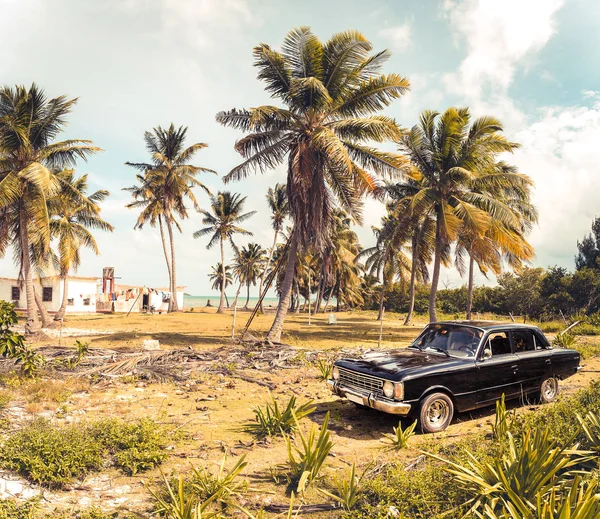 Oldtimer Cayo Jutias beach Küba — Stok fotoğraf