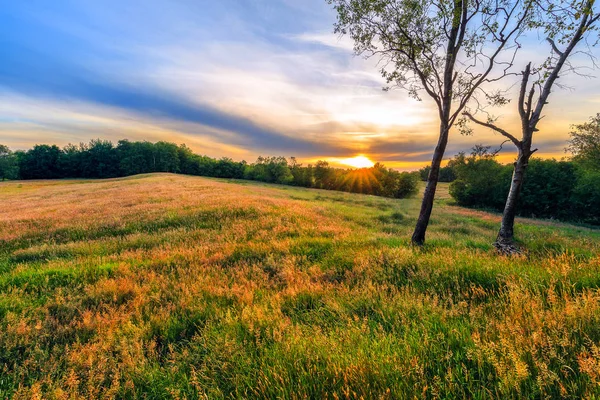 Puesta de sol en Frisia Oriental cerca de Wiesmoor —  Fotos de Stock