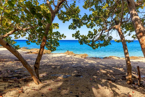 maria la gorda sahilinde