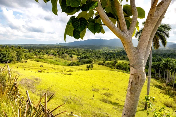 Landschap in de buurt van Bahia Honda — Stockfoto