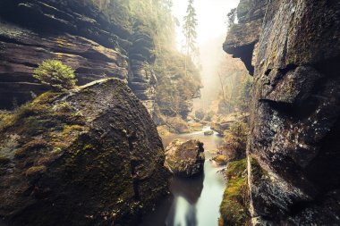 Sakson İsviçre Ulusal Parkı Kamnitz Gorge
