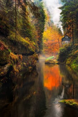 Sakson İsviçre Ulusal Parkı Kamnitz Gorge