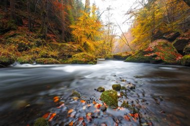 Sakson İsviçre Ulusal Parkı Kamnitz Gorge