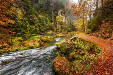 Sakson İsviçre Ulusal Parkı Kamnitz Gorge