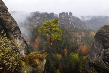 Elbe kumtaşı Dağları'nda sonbahar renkleri