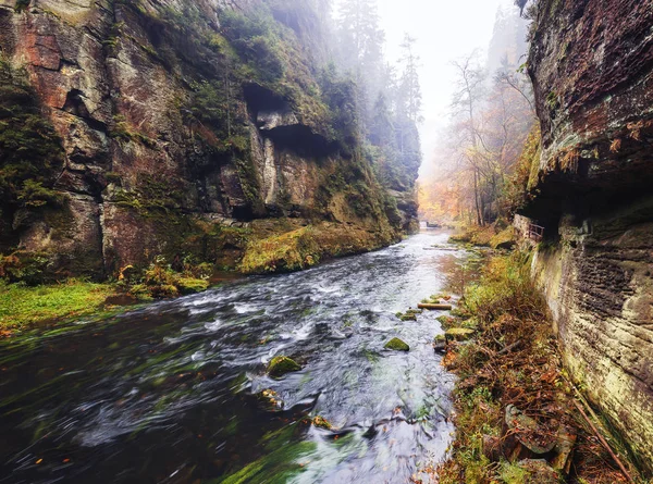 Gorge de Kamnitz no parque nacional da Suíça saxão — Fotografia de Stock