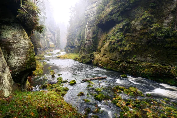 Kamnitz Gorge in Saxon switzerland national park — Stok Foto