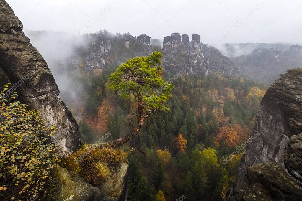 Autumn colors in the Elbe sandstone mountains