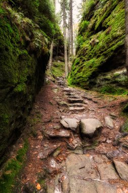 Kamnitzleiten yakınındaki ormanda eski merdiven