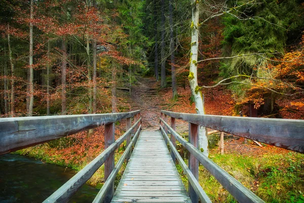 Ponte di legno nel bosco — Foto Stock