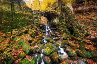 Hohnstein yakınlarındaki Baerengarten