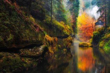Sakson İsviçre Ulusal Kamnitz Gorge adlı küçük ev 
