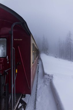 Ağaçlar üzerinde w Harzer Schmalspurbahn dışında alınan siste