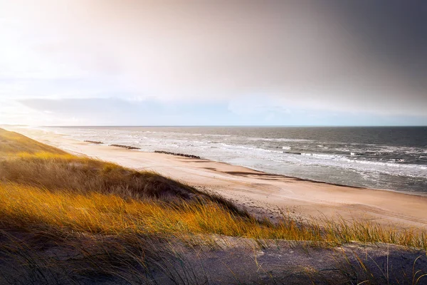 Дюны на пляже Hvide Sande — стоковое фото