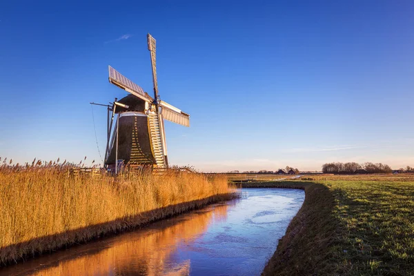 Windmill de Meervogel at winter afternoon — Stock Photo, Image