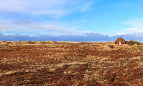 Maison danoise traditionnelle dans les dunes — Photo