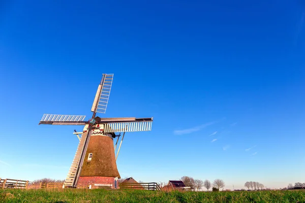 Moulin à vent de Meervogel l'après-midi d'hiver — Photo