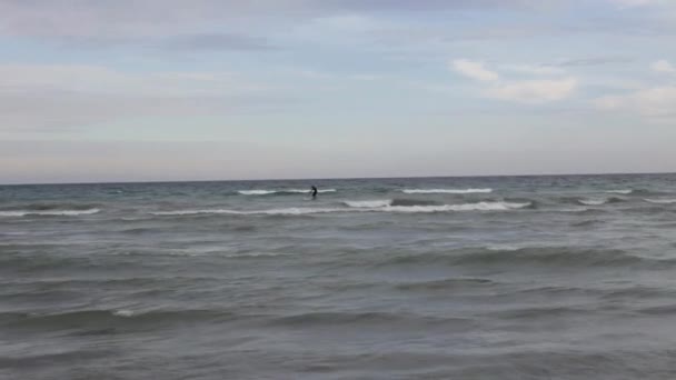 Paddel styrelsen surfer. — Stockvideo