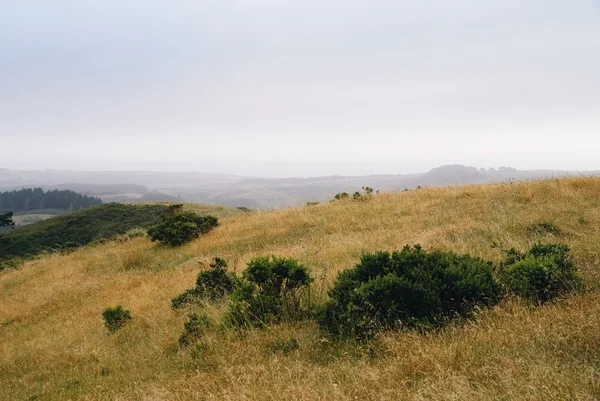 Tepeler ve sis ile manzara