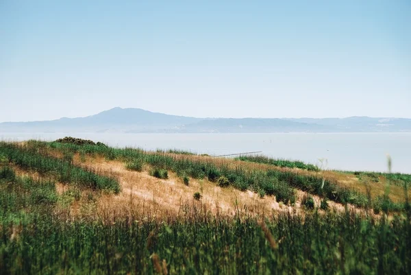 Nehir ve tepelerle kaplı manzara