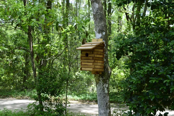 Houten vogel huis — Stockfoto