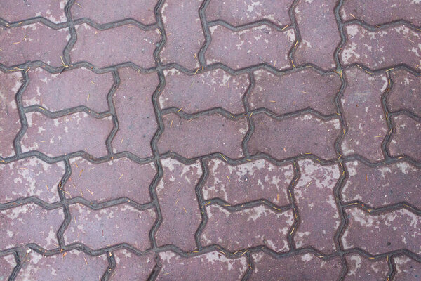 Structure. Wet brick purple.