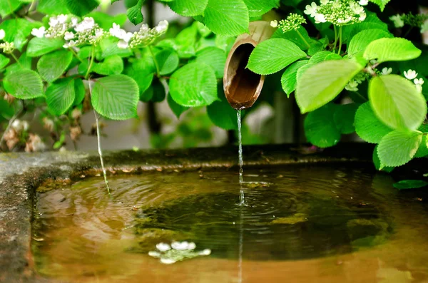 Bamboo water fountain