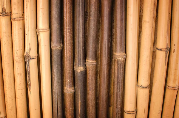 Bambu çit paralel sopa ile doku olarak — Stok fotoğraf