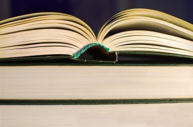 Açık kitap üzerine kitap dinlenme