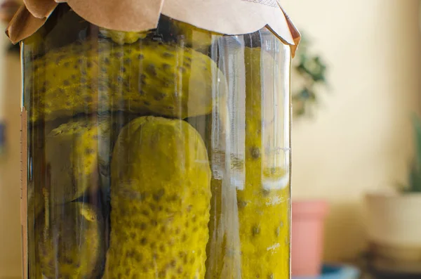 Canned cucumbers in a jar — Stock Photo, Image