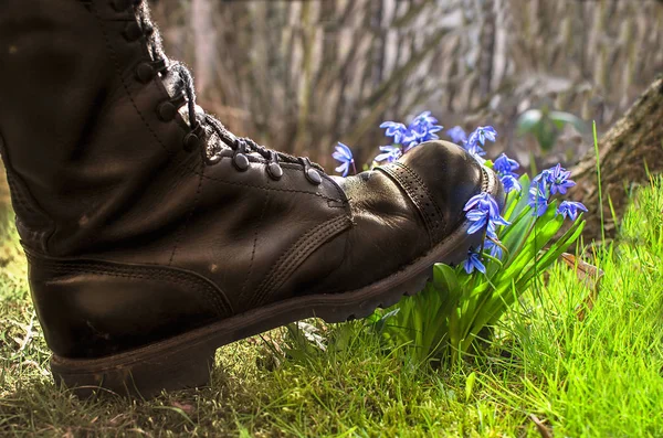 Παπούτσια ανηλεώς καταπατά το λουλούδι της ζωής — Φωτογραφία Αρχείου