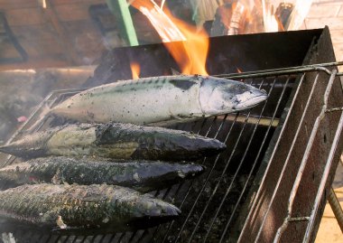 Bir açık kömür ızgara ızgara uskumru