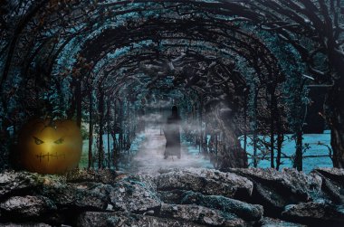 Cadılar Bayramı Balkabağı ve Grim Reaper eski terk edilmiş Garden ile korkunç gece çekimi