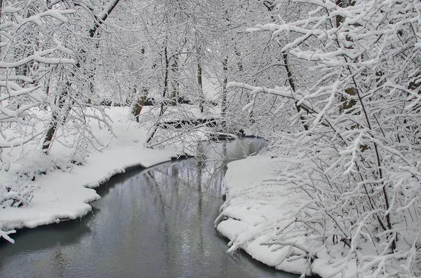 Winter-Flusslandschaft mit schneebedeckten Bäumen — Stockfoto