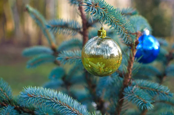 Weihnachtskugelschmuck — Stockfoto