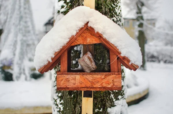 Alimentador de aves colgando de un árbol —  Fotos de Stock