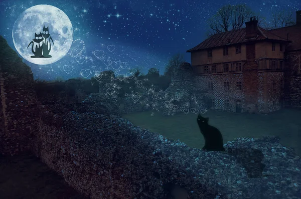 月球上面夜城市天际线上两个爱心猫 — 图库照片