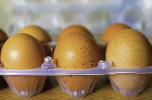 Chiken eggs in plastic tray close up.