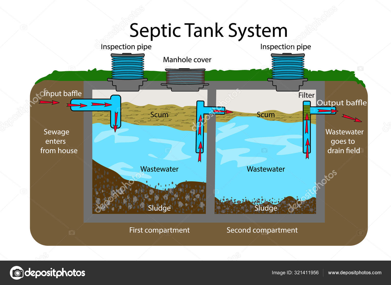 Septic Tank diagram. Septic system and drain field scheme . An