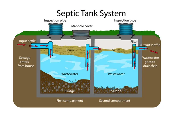 Septik Tank diyagramı. Septik sistem ve drenaj alanı şeması. Bir yeraltı fosseptik tankı çizimi. — Stok Vektör