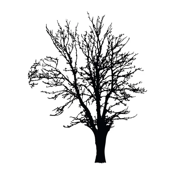 Silhouette Arbre Réaliste Isolée Sur Fond Blanc Grand Arbre Noir — Image vectorielle