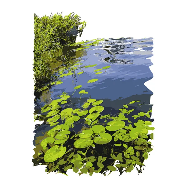 现实的湖水百合花或荷叶与芦苇隔离在白色背景 湖泊植物 自然景观 平静的池塘场景 淡水湖生态系统 种群矢量图解 Eps — 图库矢量图片