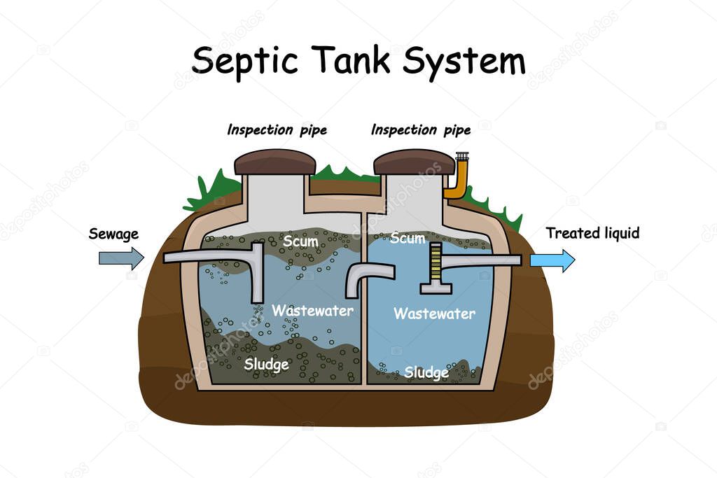 Septic Tank diagram. Septic system and drain field scheme. An underground septic tank illustration. Infographic with text descriptions of a Septic Tank. Domestic wastewater. Flat stock vector EPS 10