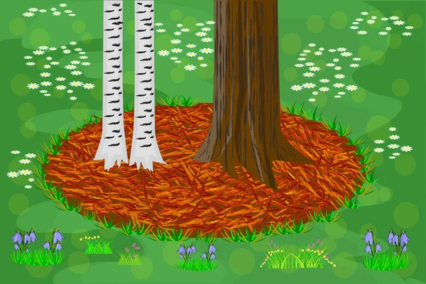 Mulčovací Zahradní Koncept Stromy Červeným Mulčem Trávou Podstavec Kmene Mulčovinou — Stockový vektor