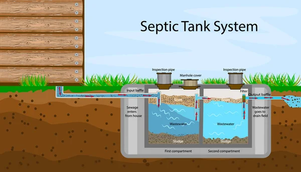 Septik Tank diyagramı. Septik sistem ve drenaj alanı şeması. Bir yeraltı fosseptik tankı çizimi. İçinde Septik Tank 'ın yazılı tarifleri olan bir bilgi. Yurt içi atık su. Düz stok vektör illüstrasyonu