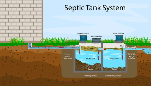 Septik Tank diyagramı. Septik sistem ve drenaj alanı şeması. Bir yeraltı fosseptik tankı çizimi. İçinde Septik Tank 'ın yazılı tarifleri olan bir bilgi. Yurt içi atık su. Düz stok vektör illüstrasyonu