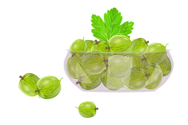 Gooseberry Dalam Mangkuk Kaca Diisolasi Dengan Latar Belakang Putih Indah - Stok Vektor