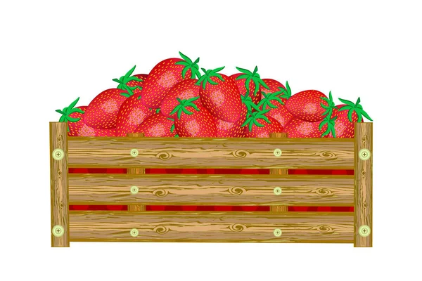 Fresas Caja Aisladas Sobre Fondo Blanco Caja Bayas Jugosas Eco — Archivo Imágenes Vectoriales